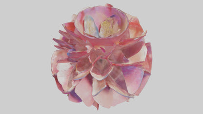 Flower Petal Fusion Sculpture model 3D model