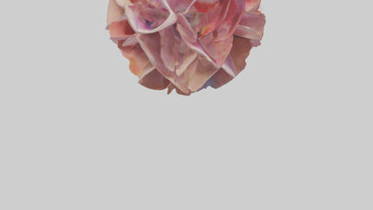 Flower Petal Fusion Sculpture model 3D model