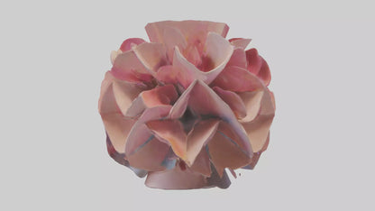 Flower Petal Fusion Sculpture model 3D model