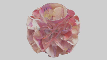 Flower Petal Fusion Sculpture model 3D model