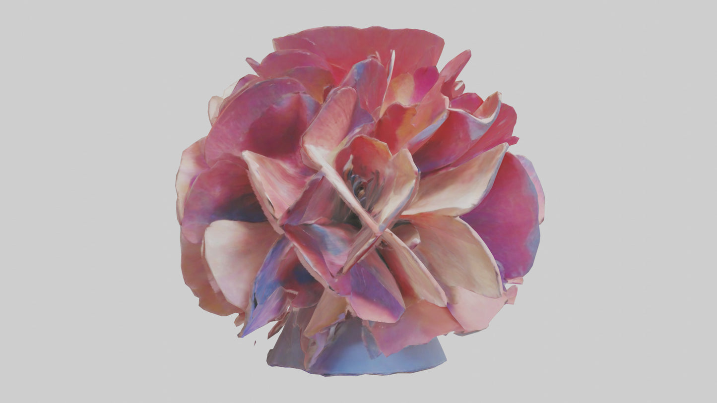 Flower Petal Fusion Sculpture model 3D model