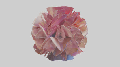 Flower Petal Fusion Sculpture model 3D model