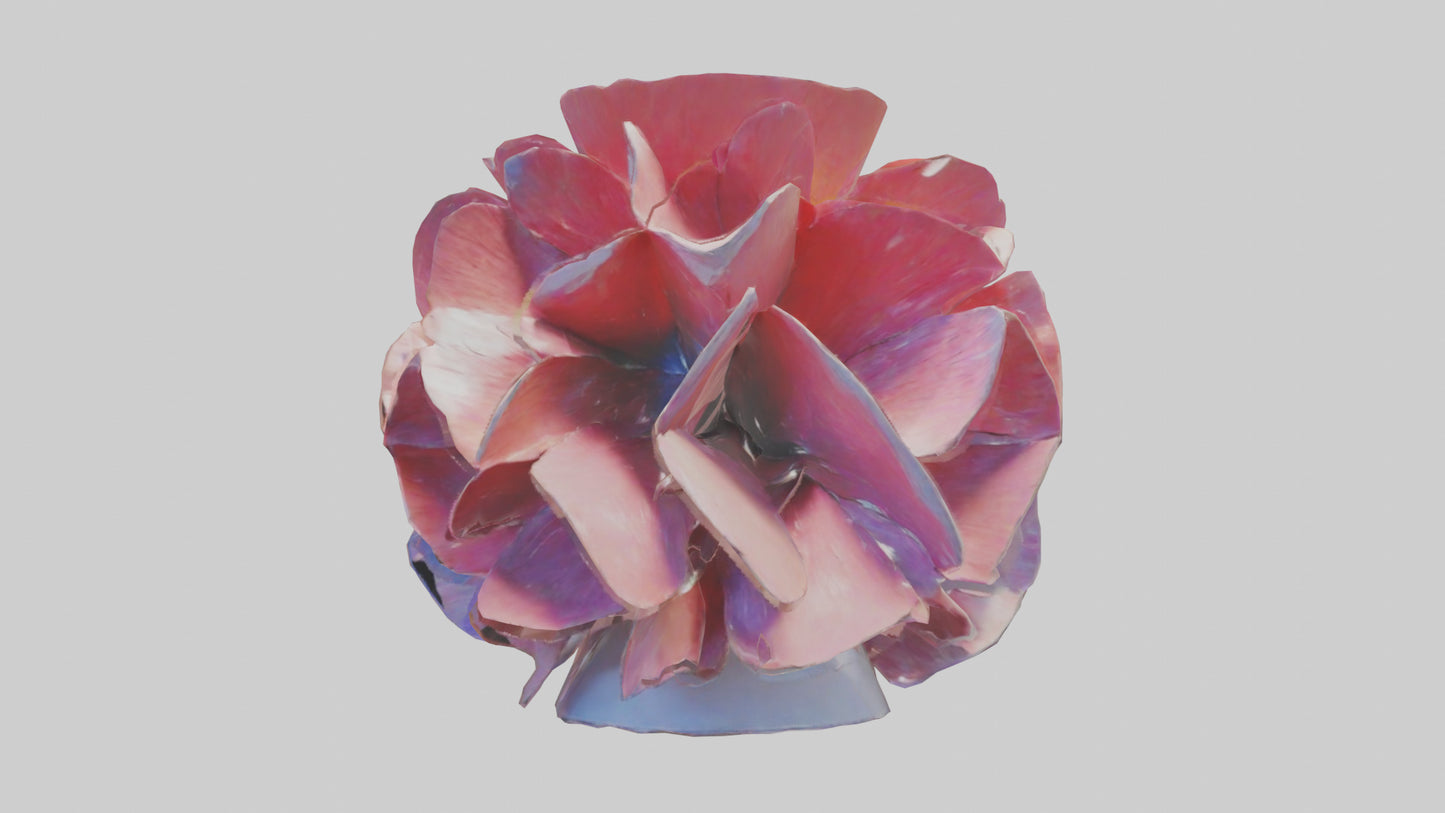 Flower Petal Fusion Sculpture model 3D model
