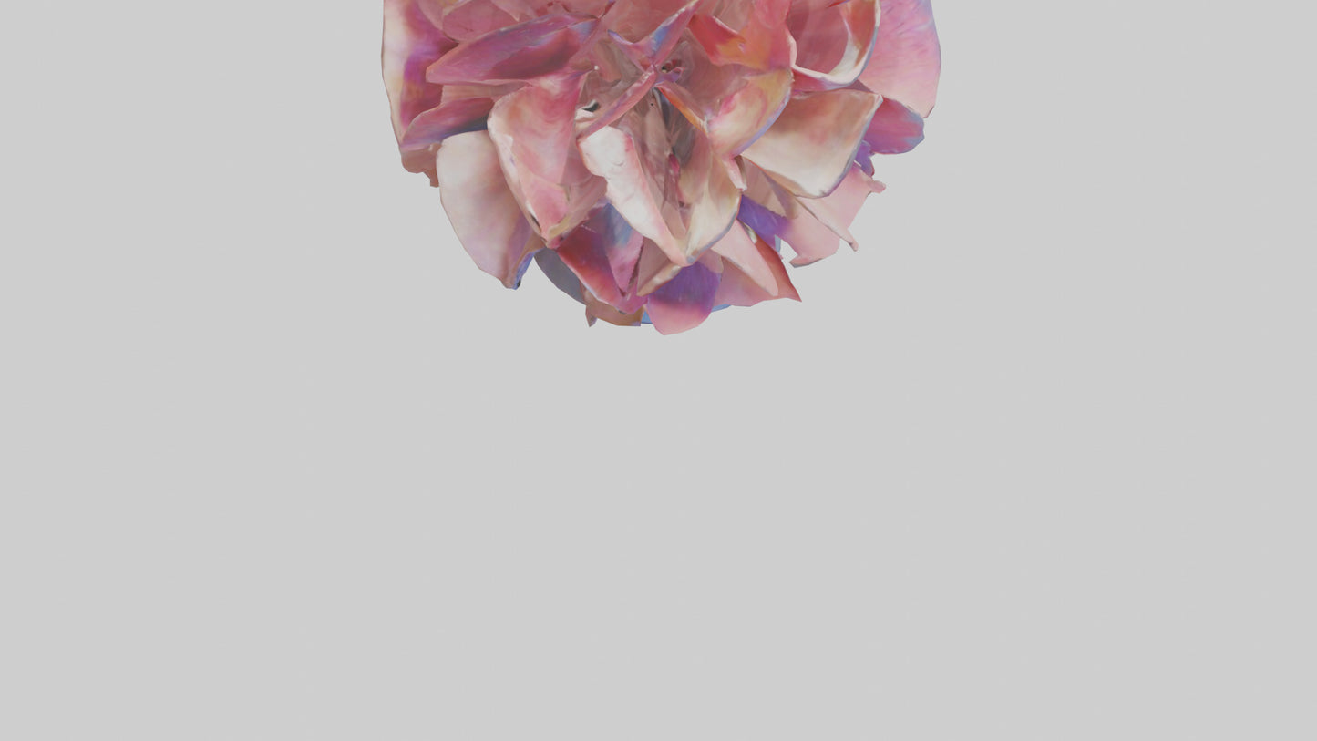 Flower Petal Fusion Sculpture model 3D model
