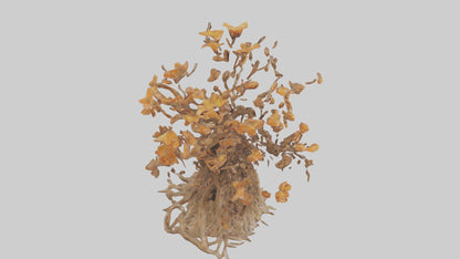 3D model Flowering Root Sculpture model VR / AR / low-poly