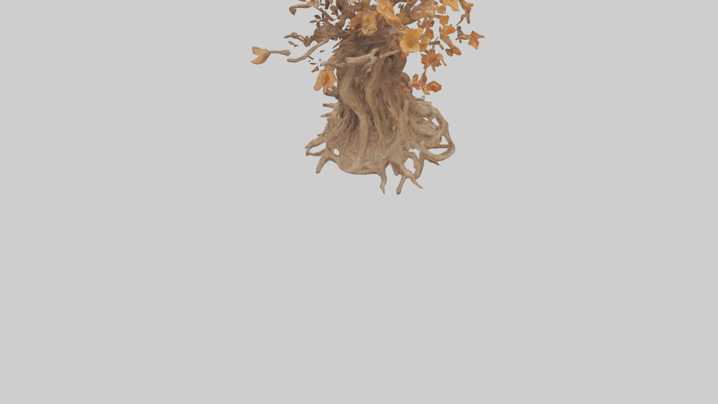 3D model Flowering Root Sculpture model VR / AR / low-poly