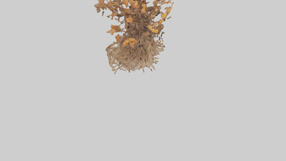 3D model Flowering Root Sculpture model VR / AR / low-poly