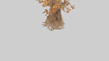 3D model Flowering Root Sculpture model VR / AR / low-poly