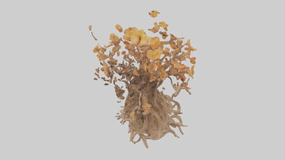 3D model Flowering Root Sculpture model VR / AR / low-poly