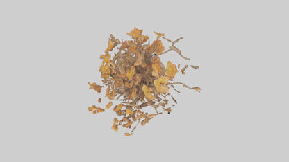 3D model Flowering Root Sculpture model VR / AR / low-poly