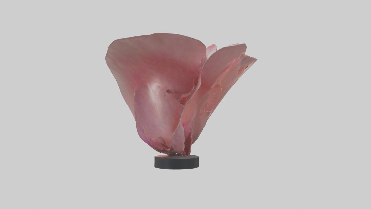 Flowing Flower Petal Sculpture model 3D model
