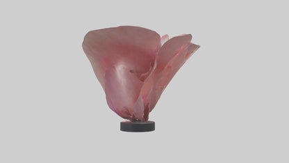 Flowing Flower Petal Sculpture model 3D model
