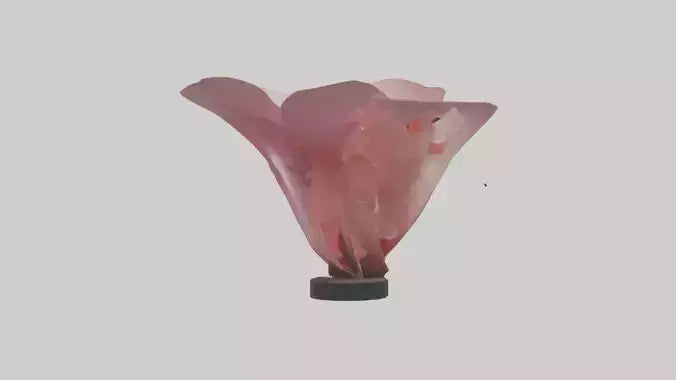 Flowing Flower Petal Sculpture model 3D model