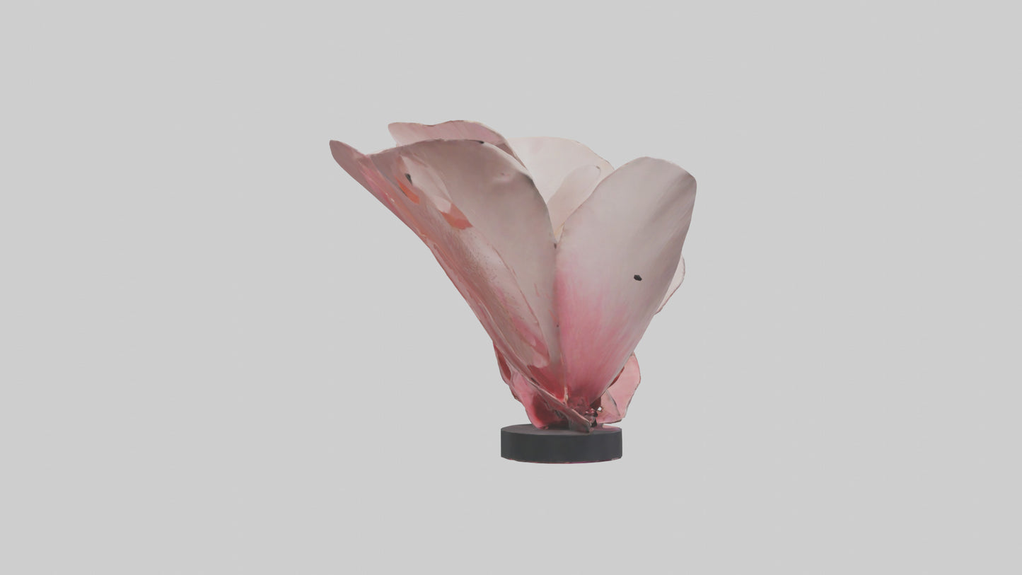 Flowing Flower Petal Sculpture model 3D model