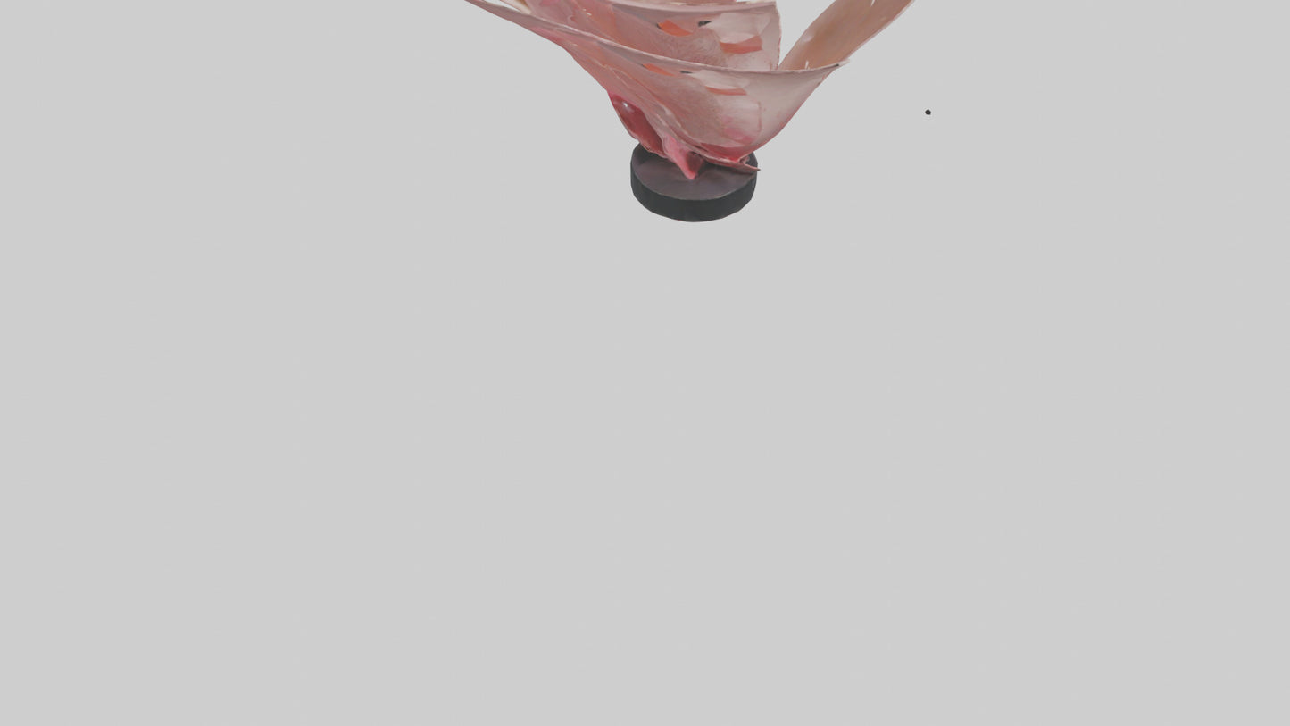 Flowing Flower Petal Sculpture model 3D model