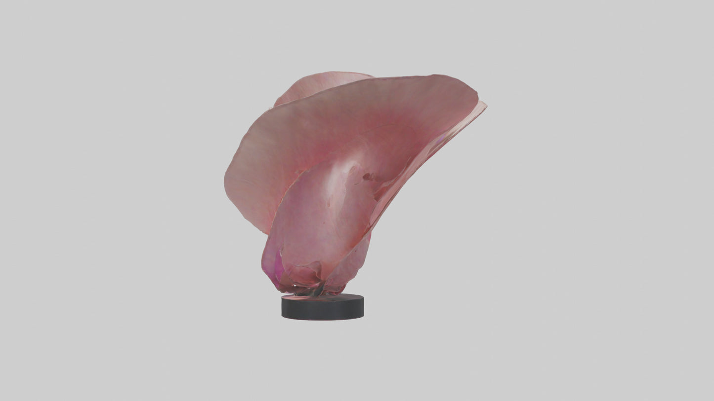 Flowing Flower Petal Sculpture model 3D model