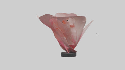 Flowing Flower Petal Sculpture model 3D model