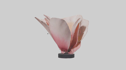 Flowing Flower Petal Sculpture model 3D model