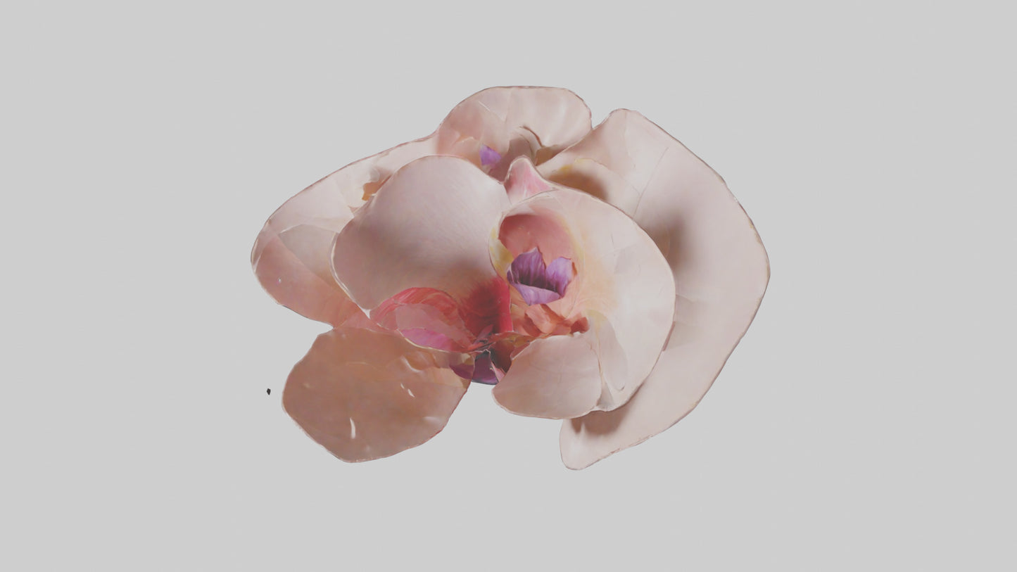 Flowing Flower Petal Sculpture model 3D model