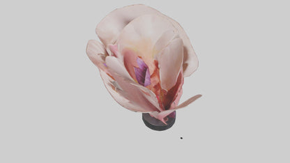 Flowing Flower Petal Sculpture model 3D model