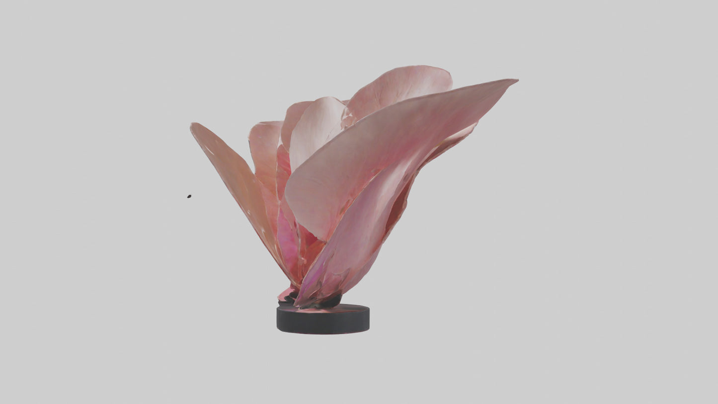 Flowing Flower Petal Sculpture model 3D model