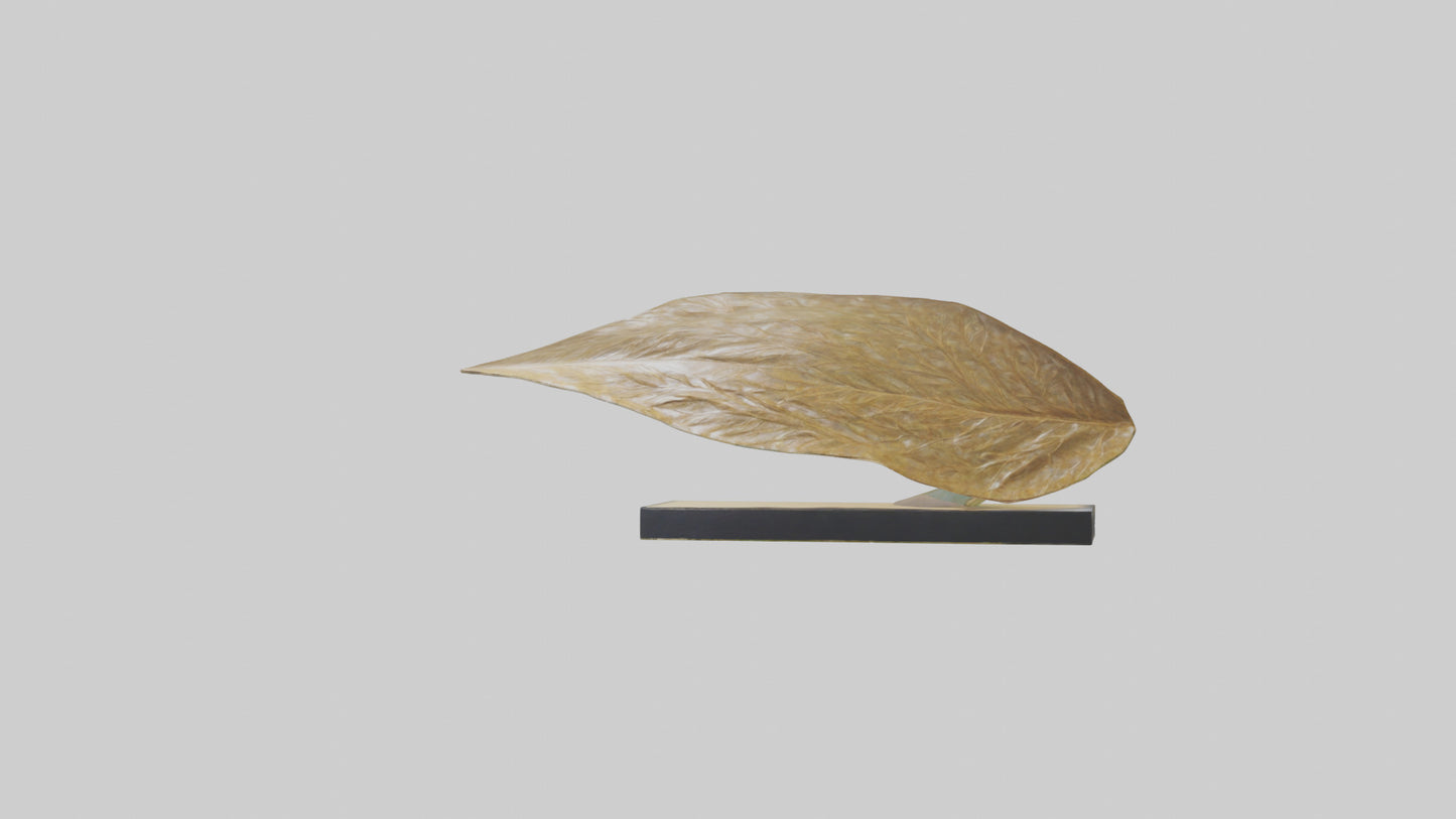 3D model Flowing Leaf Structure Sculpture model VR / AR / low-poly