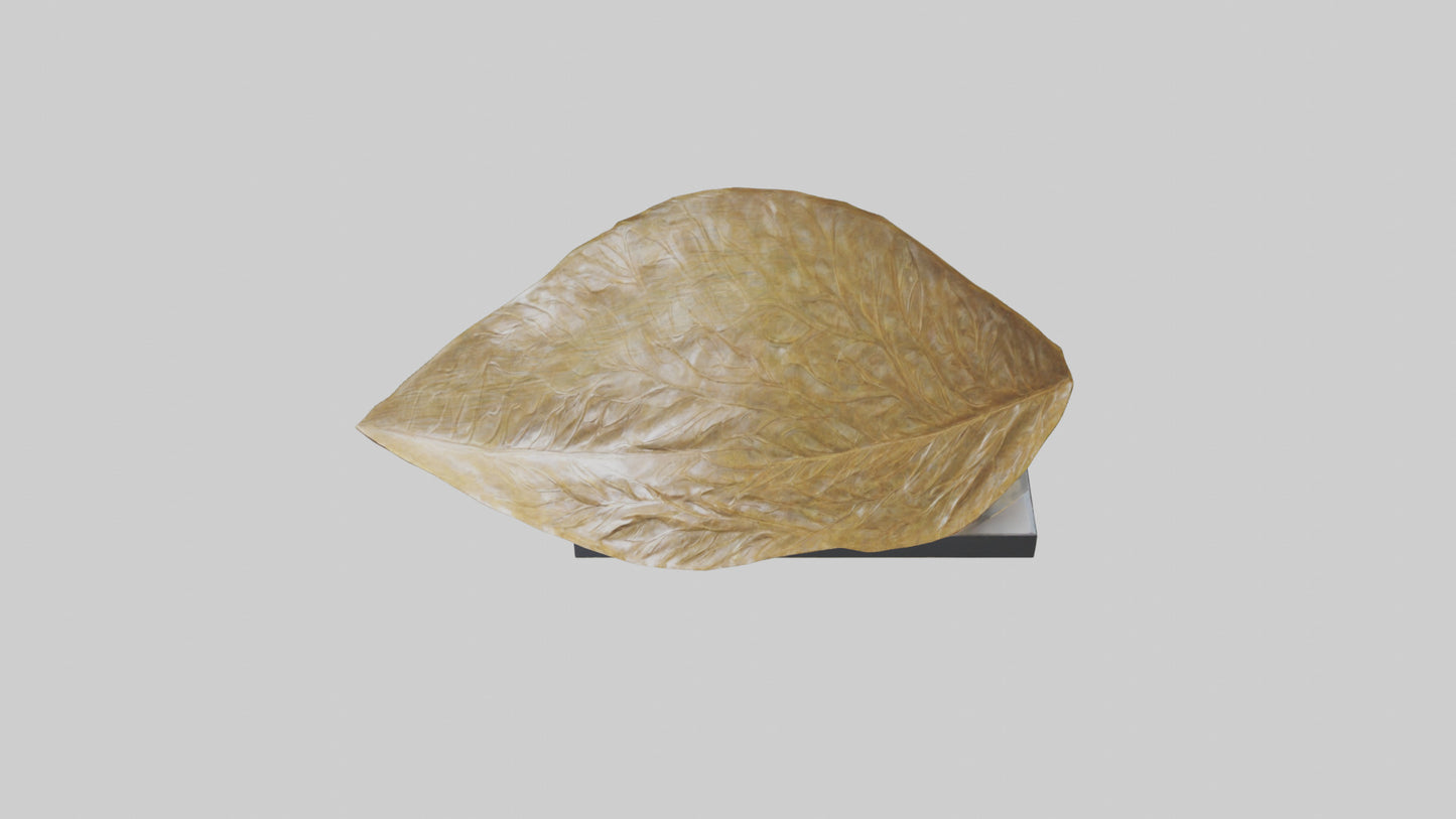 3D model Flowing Leaf Structure Sculpture model VR / AR / low-poly