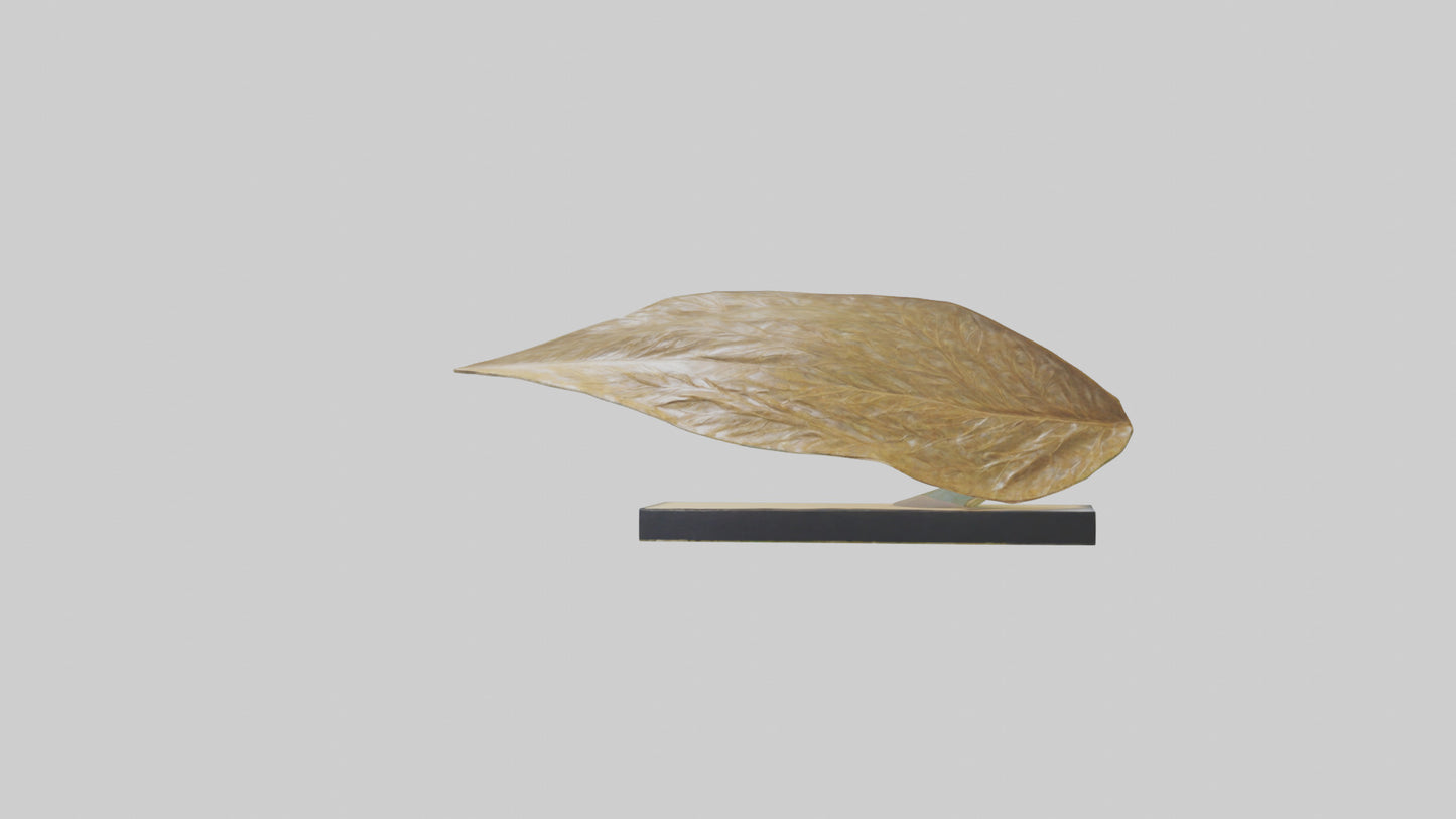 3D model Flowing Leaf Structure Sculpture model VR / AR / low-poly