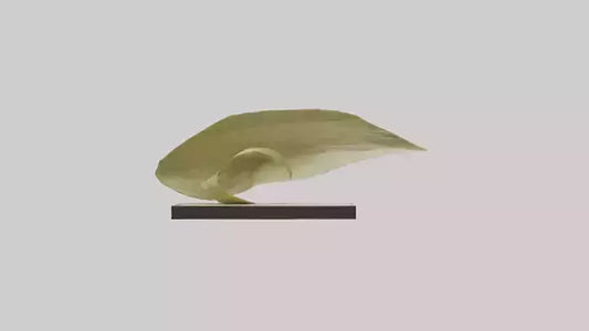 3D model Flowing Leaf Structure Sculpture model VR / AR / low-poly