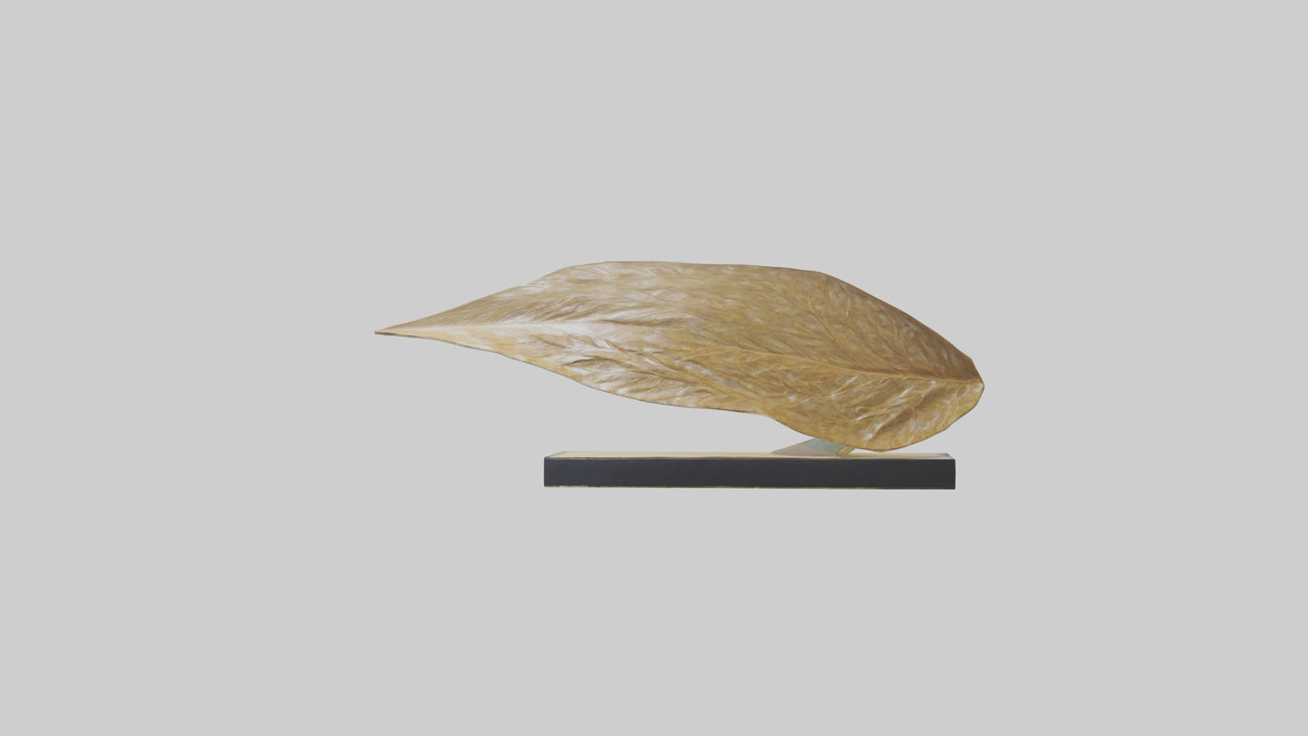 3D model Flowing Leaf Structure Sculpture model VR / AR / low-poly