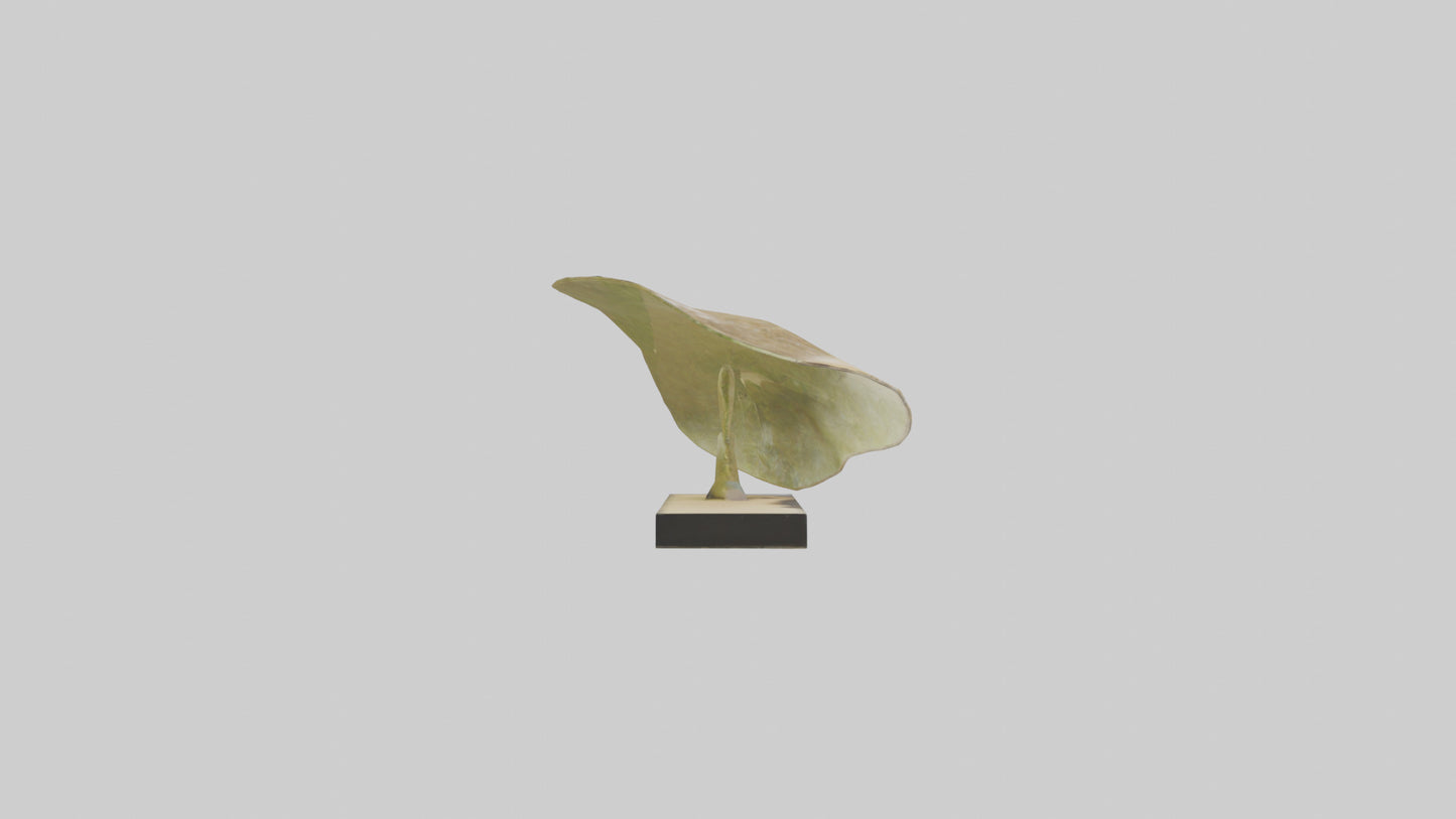 3D model Flowing Leaf Structure Sculpture model VR / AR / low-poly
