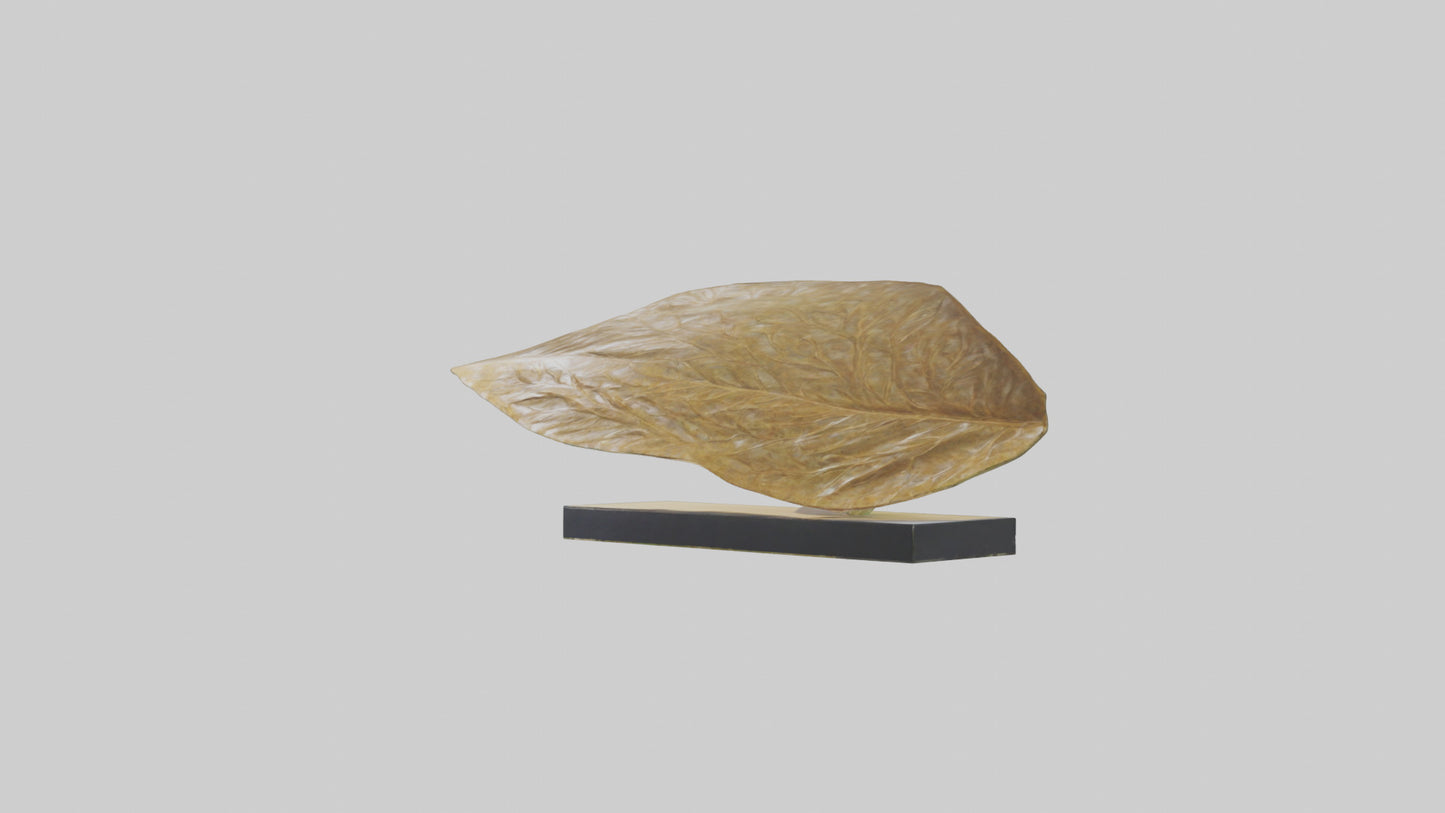 3D model Flowing Leaf Structure Sculpture model VR / AR / low-poly