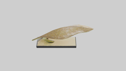 3D model Flowing Leaf Structure Sculpture model VR / AR / low-poly