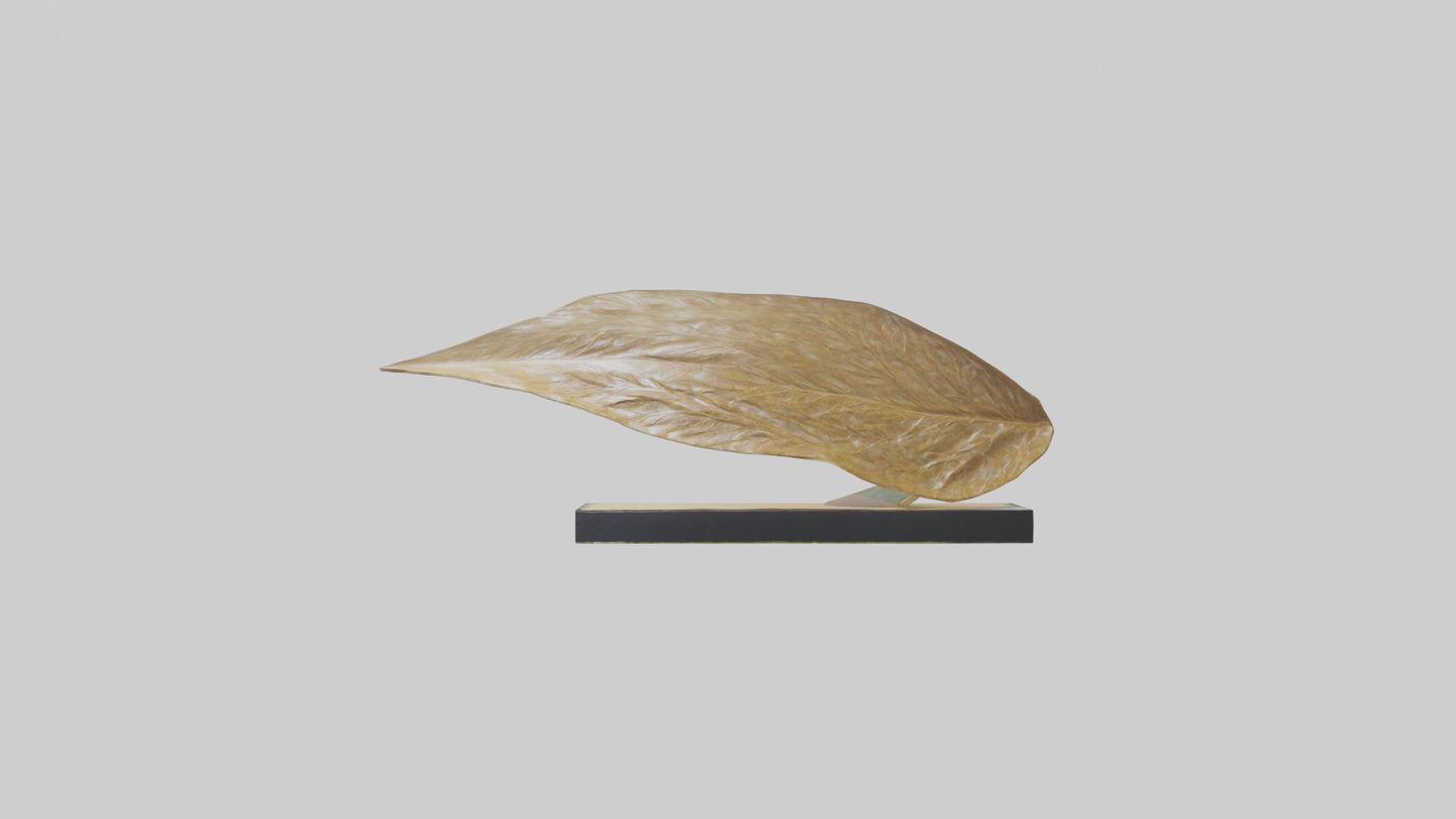 3D model Flowing Leaf Structure Sculpture model VR / AR / low-poly