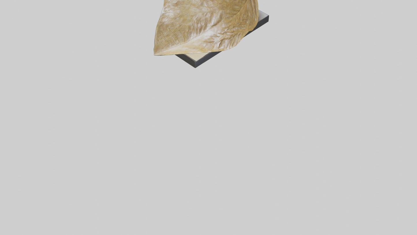 3D model Flowing Leaf Structure Sculpture model VR / AR / low-poly