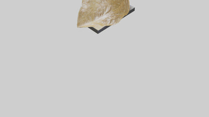 3D model Flowing Leaf Structure Sculpture model VR / AR / low-poly