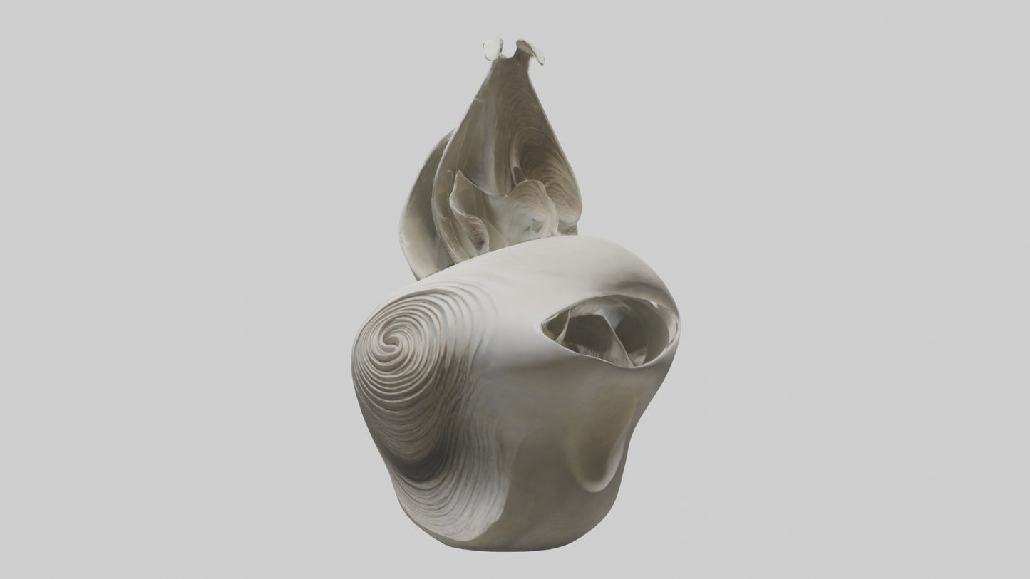 Flowing Organic Form Sculpture model 3D model