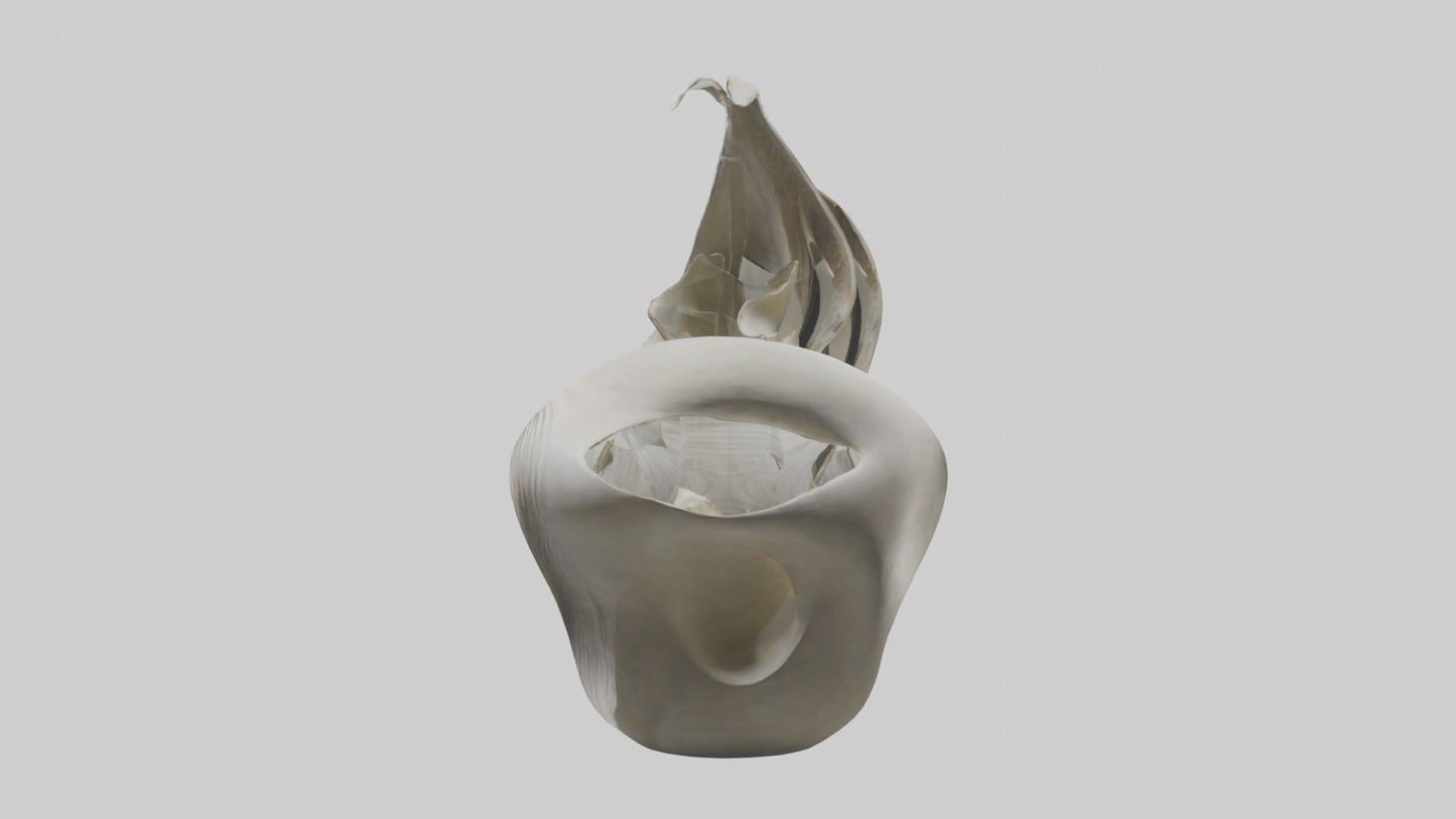 Flowing Organic Form Sculpture model 3D model