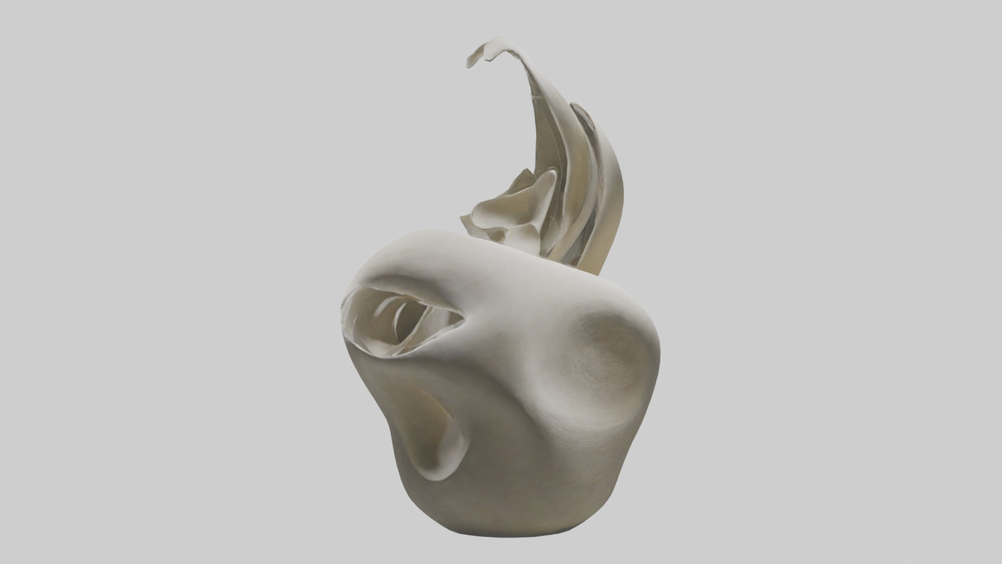 Flowing Organic Form Sculpture model 3D model