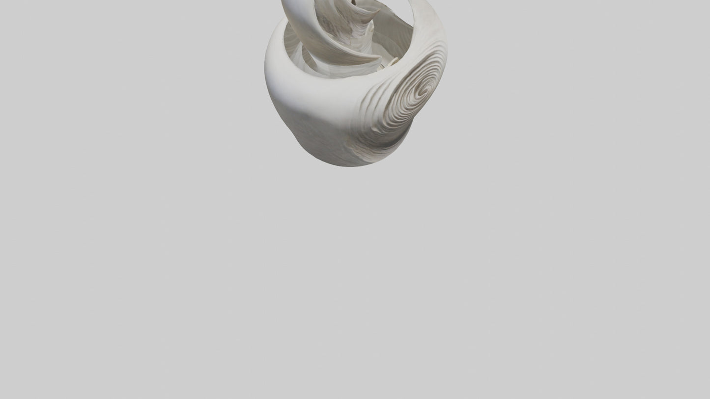 Flowing Organic Form Sculpture model 3D model