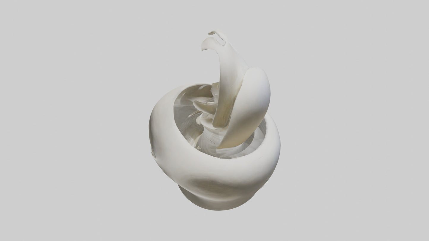 Flowing Organic Form Sculpture model 3D model