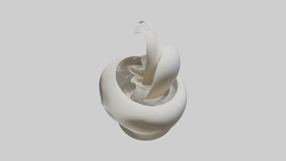 Flowing Organic Form Sculpture model 3D model