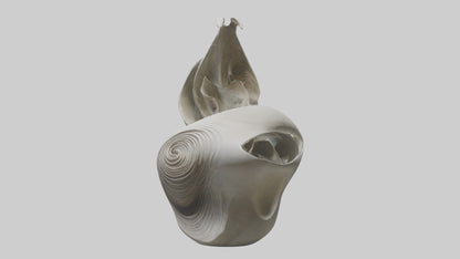 Flowing Organic Form Sculpture model 3D model