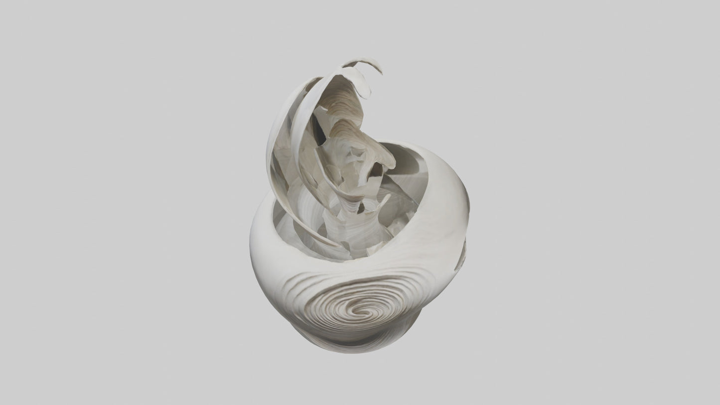 Flowing Organic Form Sculpture model 3D model