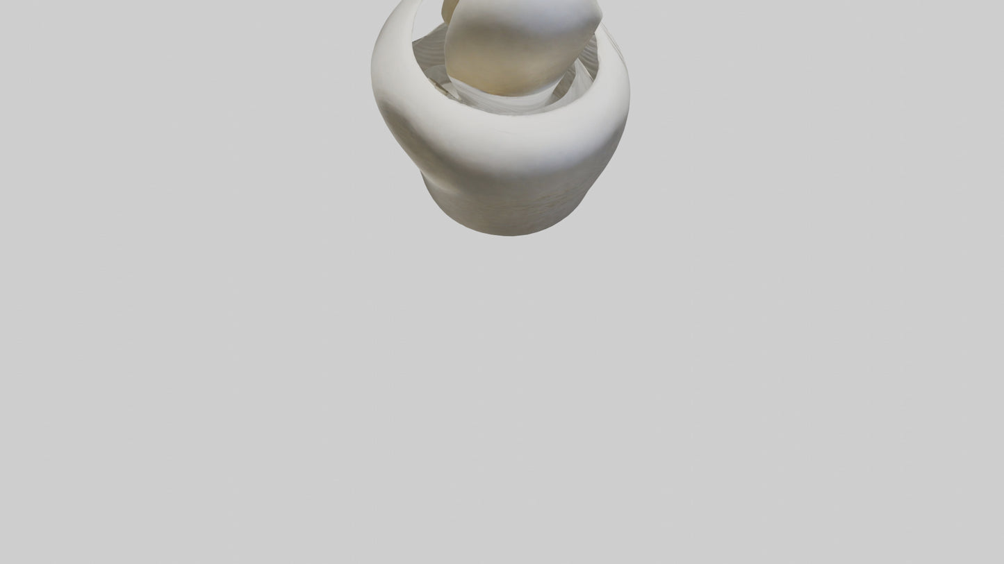 Flowing Organic Form Sculpture model 3D model