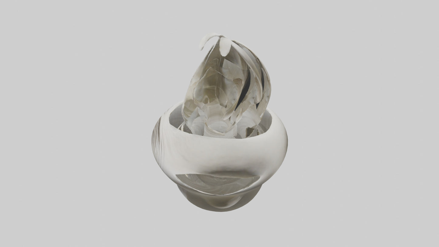 Flowing Organic Form Sculpture model 3D model