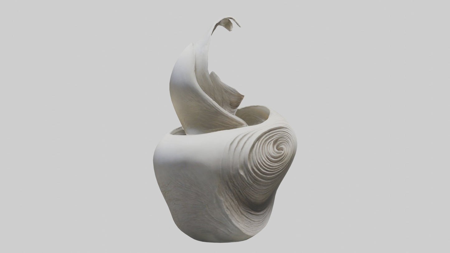Flowing Organic Form Sculpture model 3D model