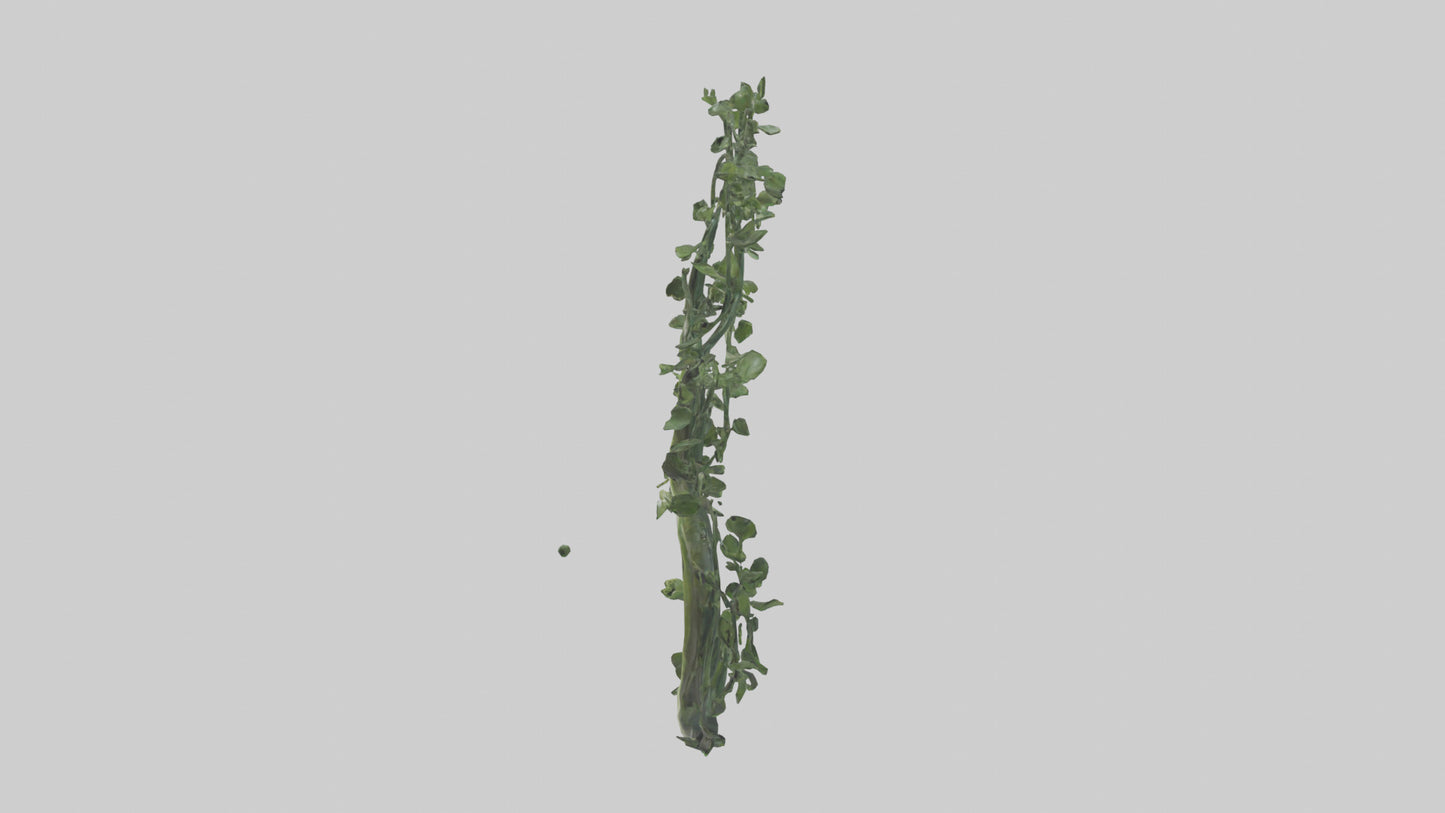 Flowing Plant Form Sculpture model 3D model
