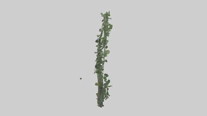 Flowing Plant Form Sculpture model 3D model