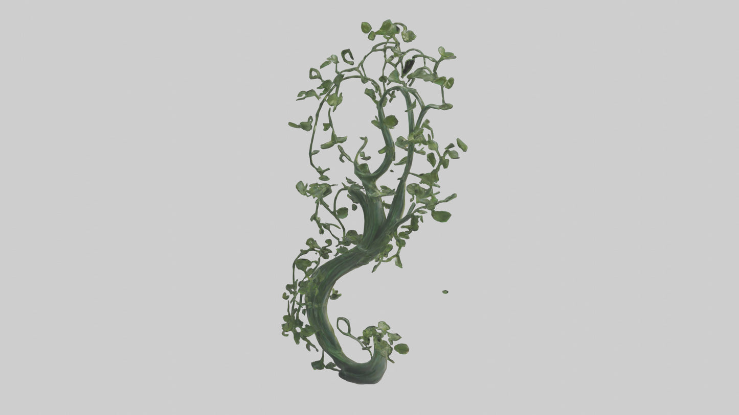 Flowing Plant Form Sculpture model 3D model